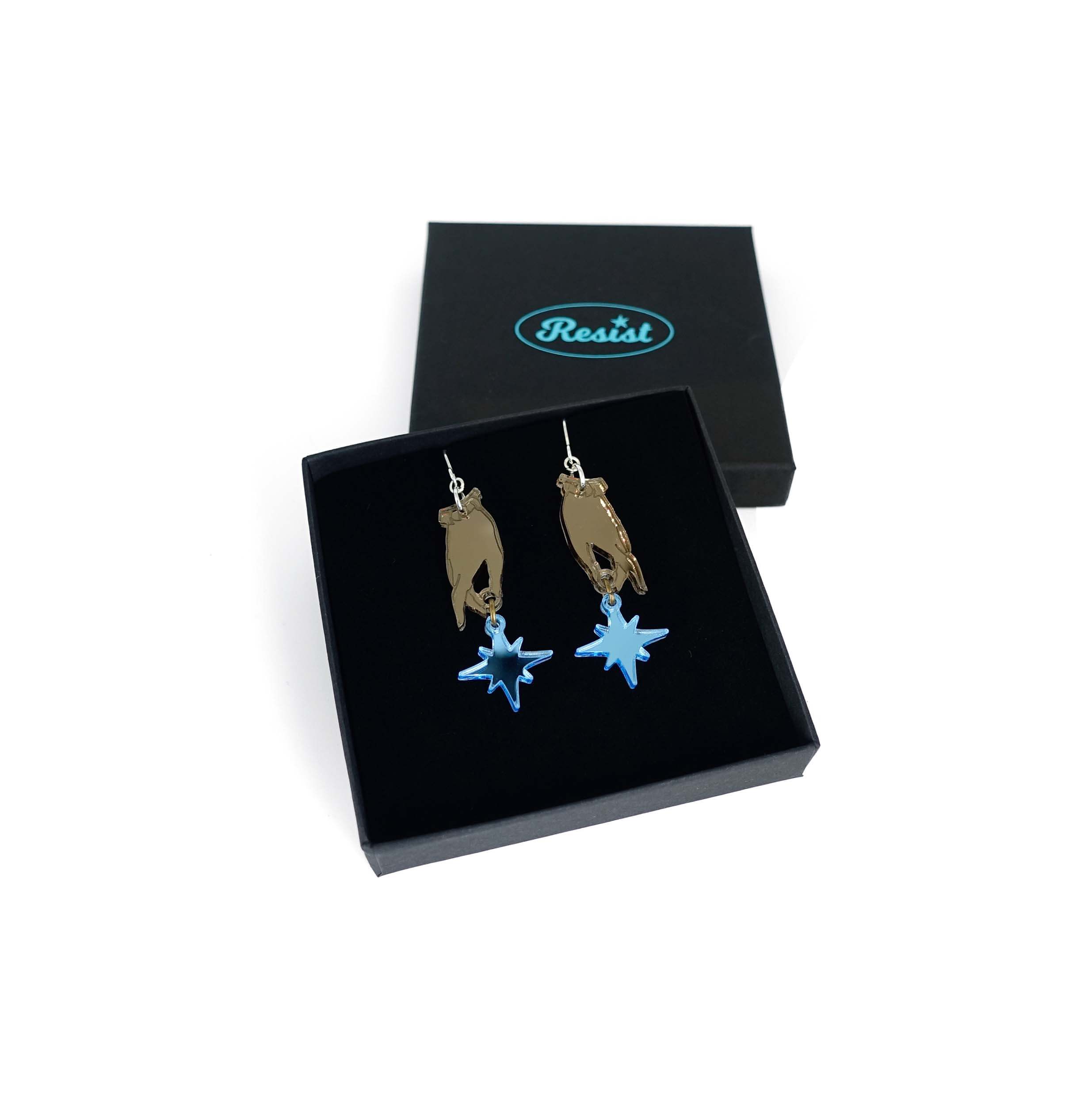 Dreams and Stars earrings from the Brontë Collection, designed by Sarah Day in collaboration with the Brontë Parsonage Museum. Shown in a Wear and Resist gift box. 