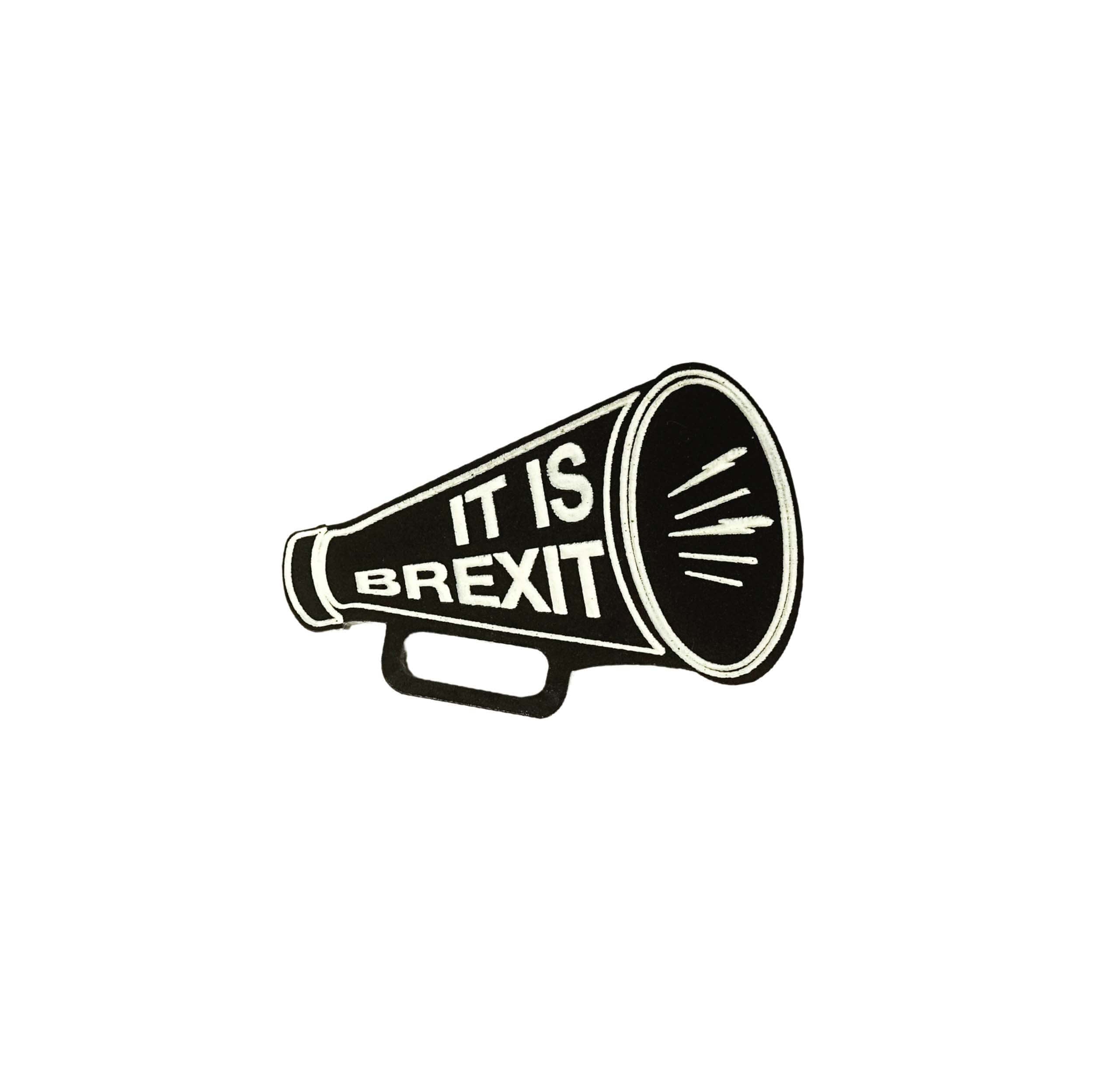 IT IS BREXIT Megaphone brooch. Brexit has harmed this country, stop trying to tell us it hasn't. 