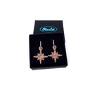 Vintage star earrings in pink fizz glitter shown in a Wear and Resist gift box. 